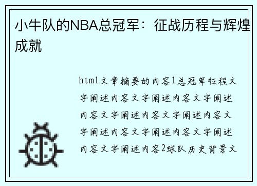 小牛队的NBA总冠军：征战历程与辉煌成就
